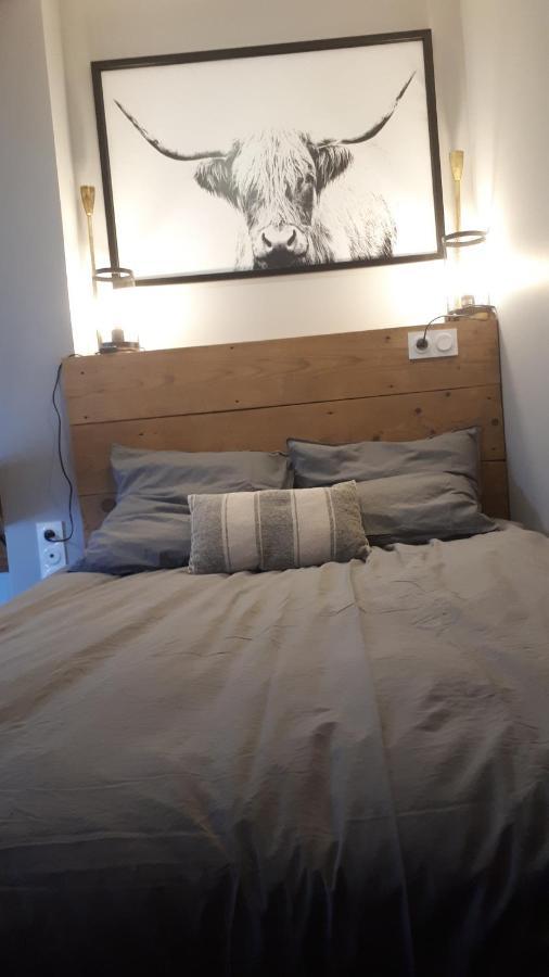 Le Cosy Rock / Rent4Night Grenoble Apartment Ngoại thất bức ảnh